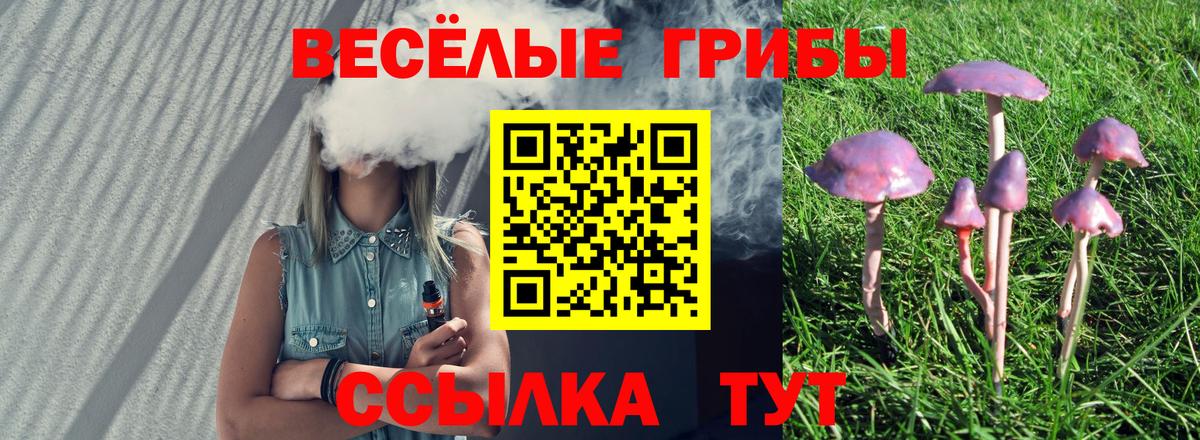 сколько стоит  Псилоцибиновые грибы ЛСД  Вход с VPN  Галлюциногенные грибы мицелий  Александров 